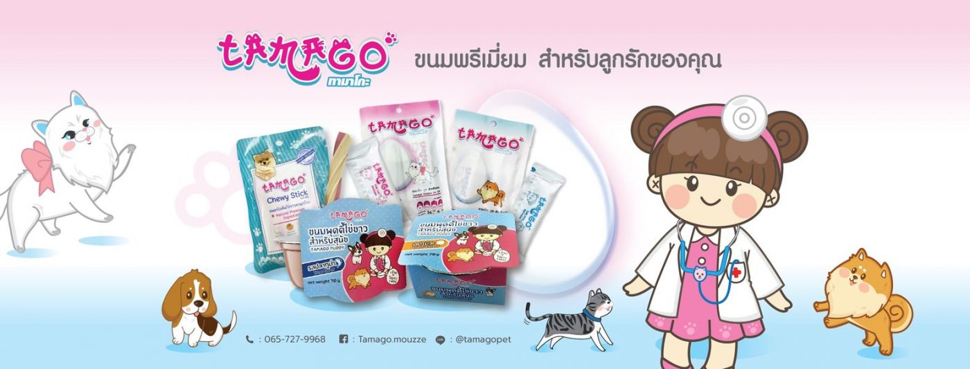 อาหาร หมา อาหาร แมว