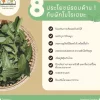 ประโยชน์ของวุ้นเส้นผักโมโรเฮยะ