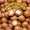 ถั่วแมคคาเดเมีย
