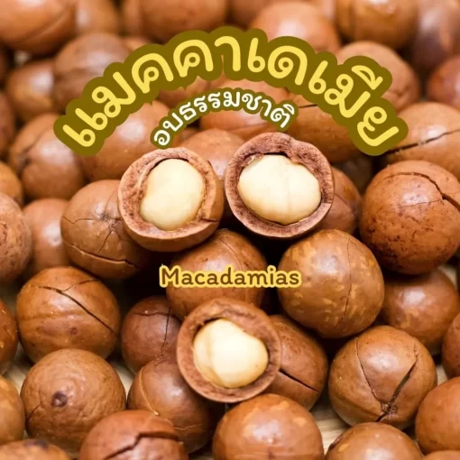 ถั่วแมคคาเดเมีย