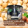 แมคคาเดเมีย