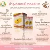 สรรพคุณเครื่องดื่มโปรตีนโกโก้ผสมวิตามินบำรุงครรภ์