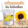 เมล็ดทานตะวัน