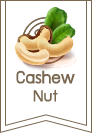 home_cashew2_footer_logo