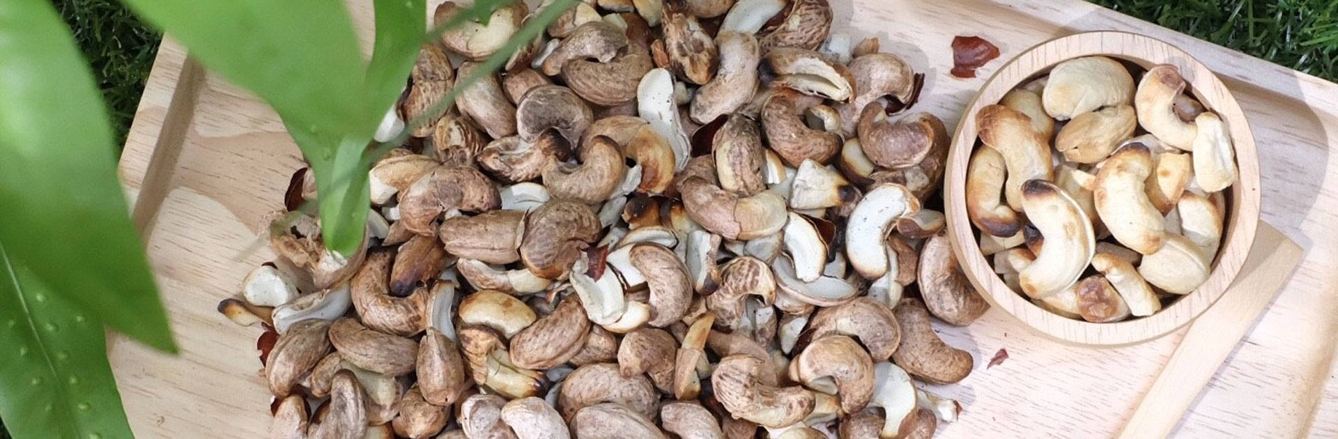 home_nut2_intro