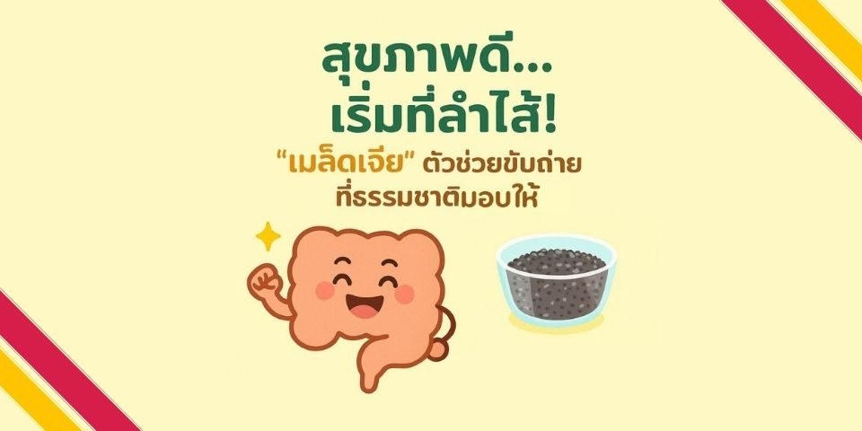 พลังเมล็ดเจีย ตัวช่วยล้างลำไส้
