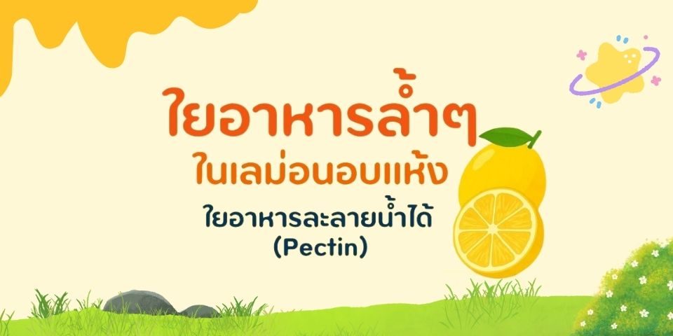 “ใยอาหารล้ำๆ ในเลม่อนอบแห้ง”