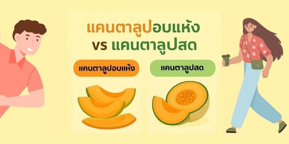 แคนตาลูปอบแห้ง vs แคนตาลูปสด
