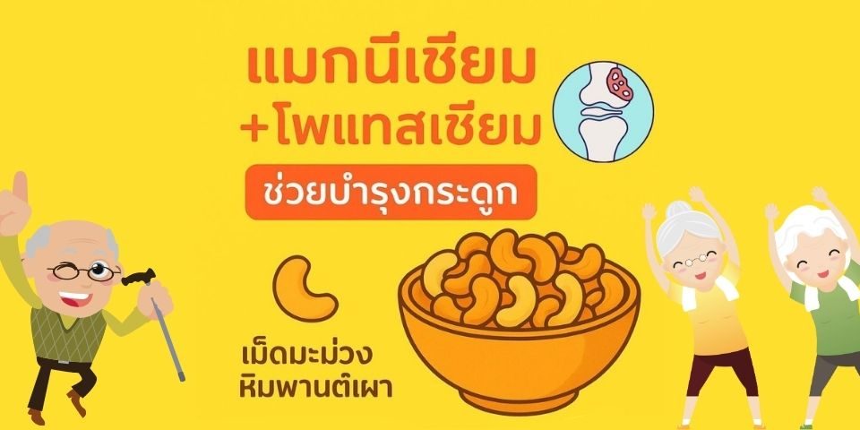 เม็ดมะม่วงหิมพานต์เผา เคล็ดลับป้องกันกระดูกพรุนสำหรับผู้สูงอายุ