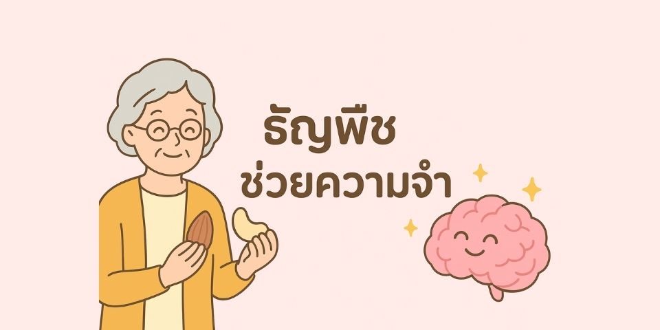 ธัญพืชช่วยเรื่องความจำ พลังวิตามิน E และ Omega-3 จากอัลมอนด์และมะม่วงหิมพานต์