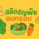 สลัดธัญพืชอบกรอบ – เม็ดมะม่วงหิมพานต์ + พิสตาชิโอ + ผักสด
