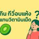 กินกีวี่อบแห้งแทนวิตามินเม็ด ได้หรือเปล่า?