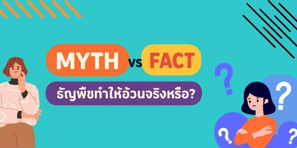 Myth vs Fact ธัญพืชทำให้อ้วนจริงหรือ?