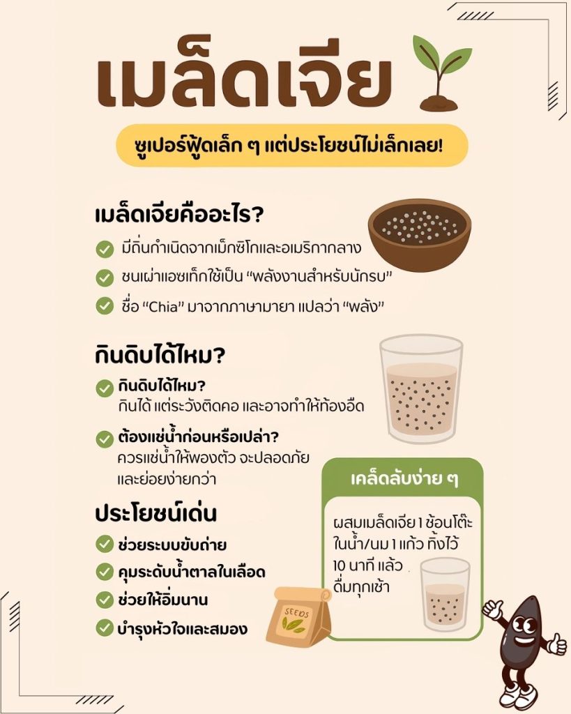 เมล็ดเจียคืออะไร?