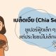 เมล็ดเจีย (Chia Seeds)