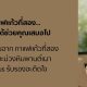ลองเปลี่ยนจาก กาแฟแก้วที่สอง เป็นนมมะม่วงหิมพานต์เผา Cassius