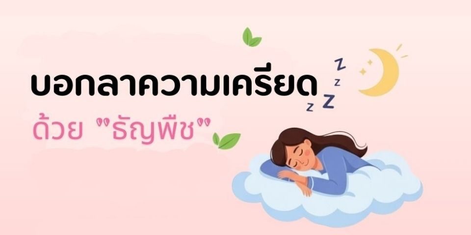 บอกลาความเครียดด้วยธัญพืช: กุญแจสู่สุขภาพใจและสมดุลอารมณ์
