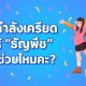 เปลี่ยนความเครียดให้เป็นความสุขง่ายๆ ด้วย “ธัญพืช”