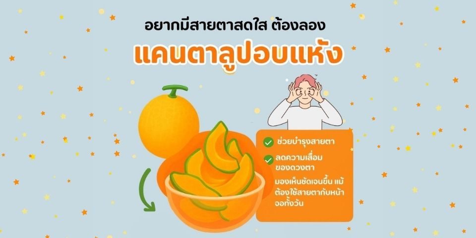 บำรุงสายตาด้วยแคนตาลูปอบแห้ง