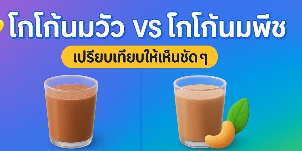 โกโก้นมวัว vs. โกโก้นมพืช เลือกแบบไหนดี?