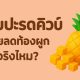 สับปะรดคิวบ์ช่วยลดท้องผูกได้จริงไหม?