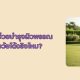 ลูกพรุนช่วยบำรุงผิวพรรณ ชะลอวัยได้จริงไหม?