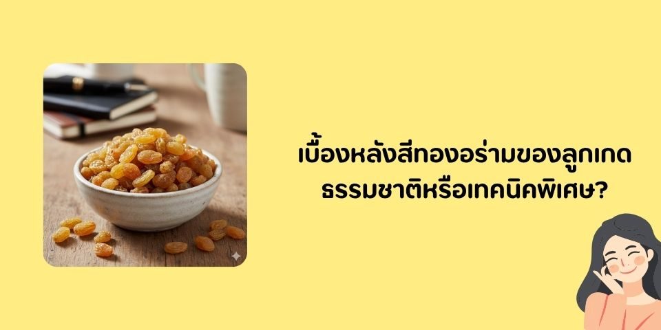 เบื้องหลังสีทองอร่ามของลูกเกด ธรรมชาติหรือเทคนิคพิเศษ?