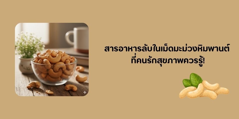 สารอาหารลับในเม็ดมะม่วงหิมพานต์ ที่คนรักสุขภาพควรรู้!