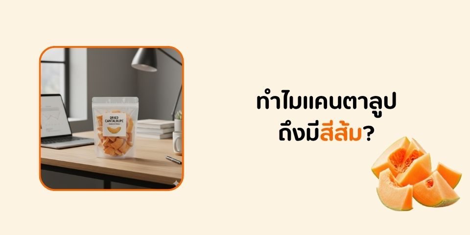 เคยสงสัยไหม 🍈 ว่าทำไม “แคนตาลูป” ถึงมีสีส้มสดใส น่ากินขนาดนี้?