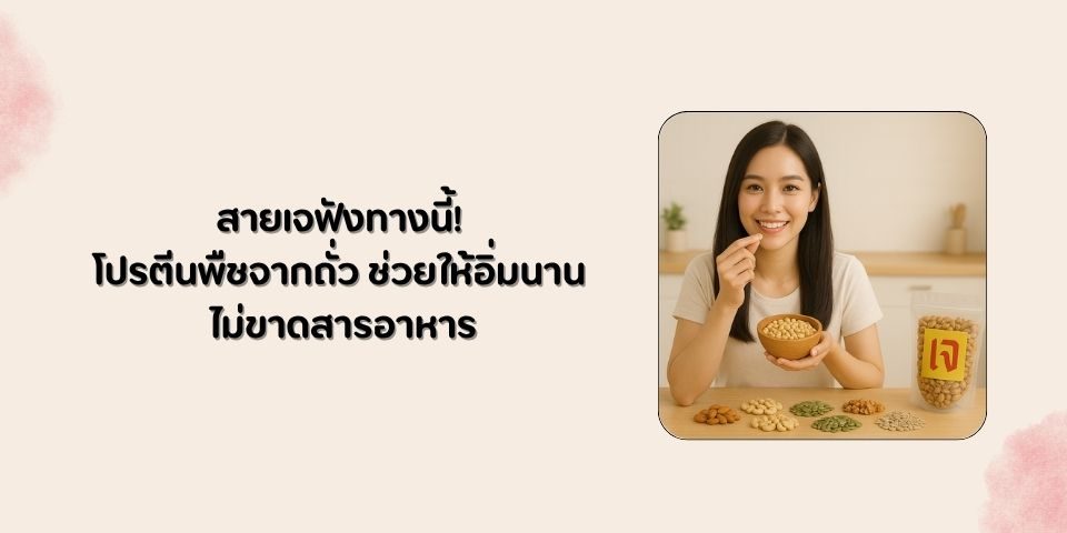 สายเจฟังทางนี้! โปรตีนพืชจากถั่ว ช่วยให้อิ่มนาน ไม่ขาดสารอาหาร