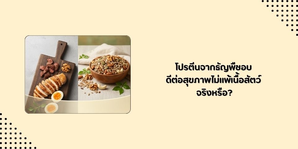 โปรตีนจากธัญพืชอบ ดีต่อสุขภาพไม่แพ้โปรตีนจากเนื้อสัตว์จริงไหม?